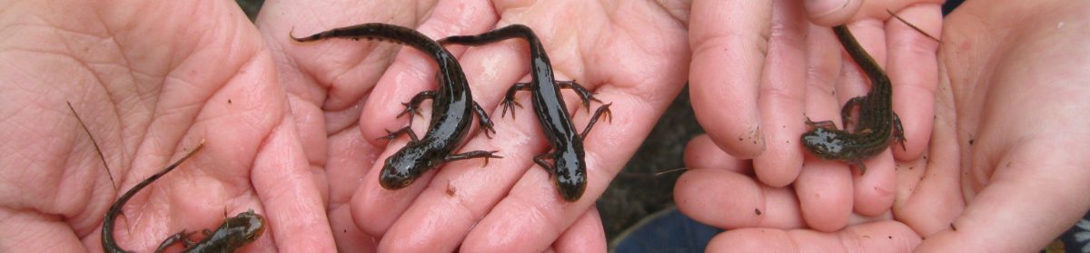 Kleinschalige logies in Noord-Portugal