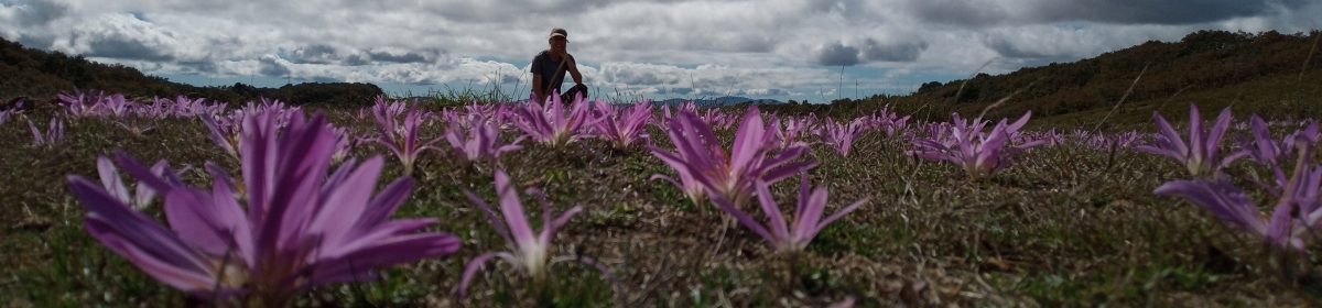Kleinschalige logies in Noord-Portugal